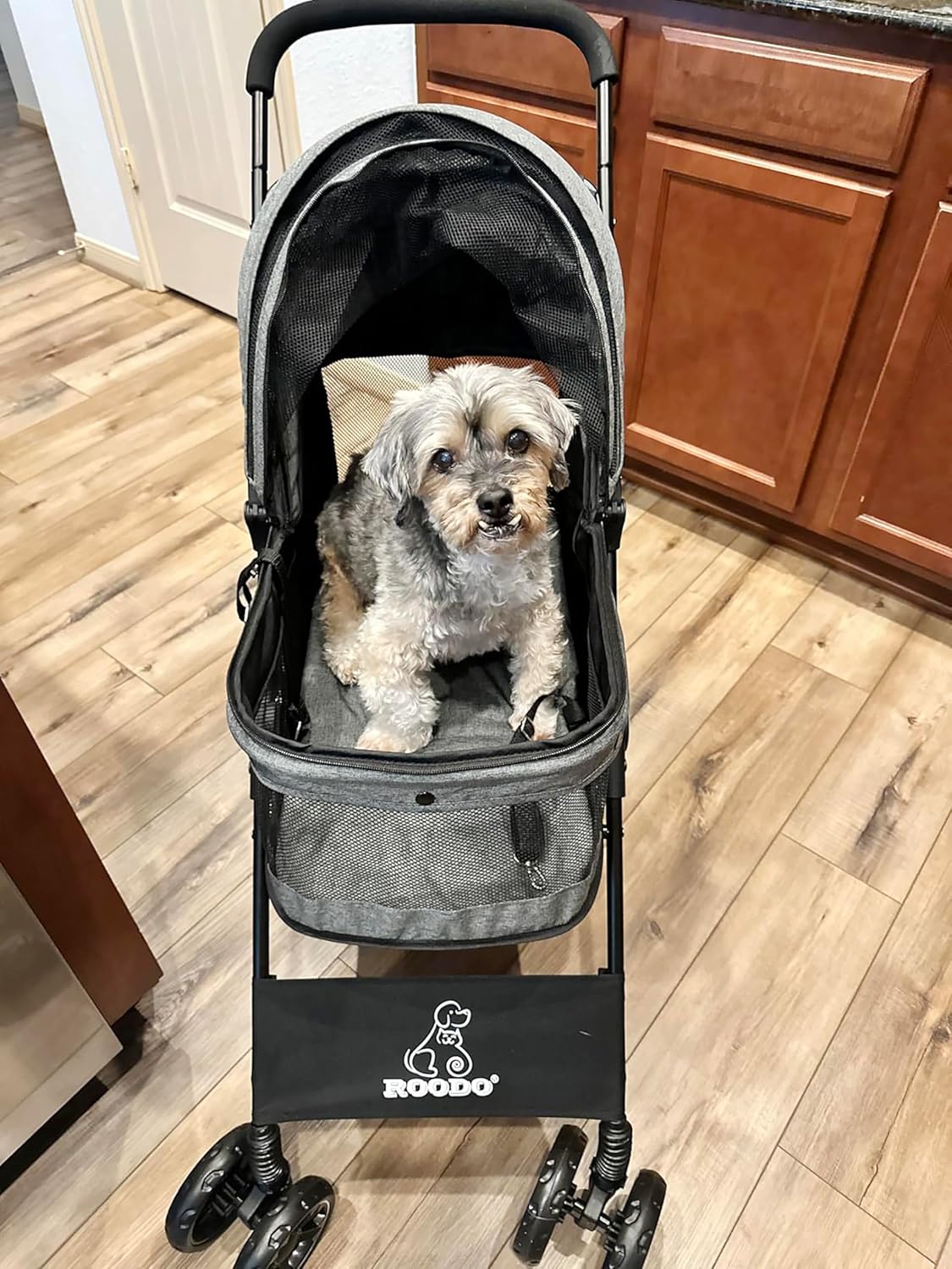 4 Wheel Dog Cat Pet Stroller,  - Foldable Backpack Small ulasan dan harga