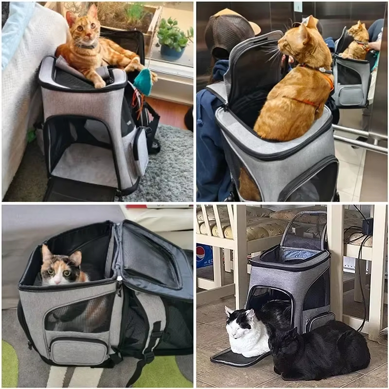 Cat Bag Outdoor Portable Cat B - Foldable Backpack Small ulasan dan harga